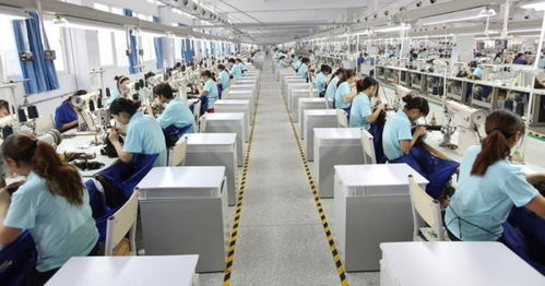 2022年河南電子商務運行呈穩(wěn)定增長態(tài)勢，經(jīng)營額達12122.45億元