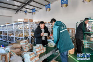 打造產(chǎn)業(yè)園區(qū)，賦能農(nóng)產(chǎn)品銷(xiāo)售，構(gòu)建電子商務(wù)新生態(tài)